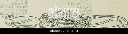 . Indice della città e della contea di San Diego - 1919 . ••? 7ouch ?ii: [«*m«v i y.std. W§ N.&GT;AI ARPA 9 A L'UNICO NEGOZIO DEL SUO KIN PASSMORE S SAN DIEGO BIRD STORE 1194 SIXTH ST. VICINO A B [ {.VFIRAJS ] CANARIE, PAPPAGALLI E PESCE D'ORO ALEXANDER NOLAND PROPRIETARIO suo il nostro Business tp mente il tuo Business LOUIS C MASTEN Main 212 919 SESTO STREET posizionare la gestione della vostra proprietà nel nostro NOTAIO Care 1919 - SAN DIEGO CITY DIRECTORY - 1919 131 ELENCO CITTÀ E CONTEA DI SAN DIEGO 1919 PUBBLICATO DALLA DIRECTORY DI SAN DIEGO CO. Inc, 850-56 Third Street, San Diego, Cal. ABC TRUCK CO sempre attento Wm 0 Morrison P Foto Stock