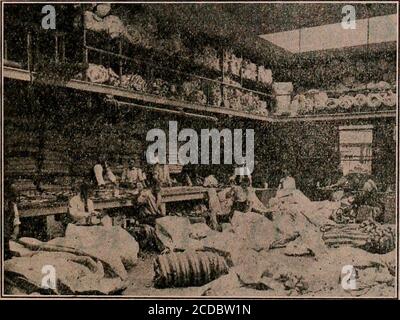 . Indice della città e della contea di San Diego - 1919 . Produttori di TENTSAWNINGS e coperture vele e Camp Furni-ture. Hardware marino. 46 1919 - ELENCO DELLE CITTÀ DI SAN DIEGO - 1919 TRASFERIMENTI DI ESPERTI DI PNEUMATICI Foto Stock