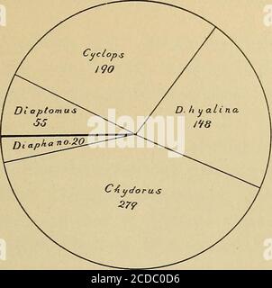 . La crostacei del plancton, luglio 1894-dicembre 1896 si ecline costantemente dopo che il lago scende sotto l'atemperatura di 20°, mentre Daphnia ha il suo grande pe-riodo autunnale di riproduzione nel mese di ottobre quando la tempera-tura è inferiore a 15°. Nella primavera del 1897 il riscaldamento del thelake era più lento che in uno dei due anni coperti da mystudy, e lo sviluppo di Diaptomus era decisamente indietro rispetto a quello di Daphnia. Non sono tuttavia in grado di fornire relazioni numeriche precise. Il diagramma 9 mostra anche che Daphnia pulicaria ha iniziato il suo corso di sviluppo circa due settimane prima di Daphnia h. Foto Stock