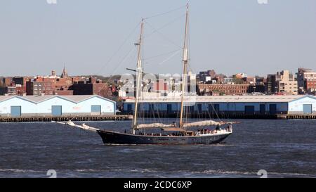 Tour in barca a vela blu DELLA CITTÀ DI CLIPPER, passando sullo sfondo delle banchine Red Hook sul lato di Brooklyn Foto Stock