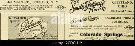 . Lo scambio dei fioristi: Un mezzo settimanale di interscambio per fioristi, nurseristi, seminaristi e il commercio in generale. &lt;fh. CLEVELAND, OHIO 5523 Euclid Avenue S. A. ANDERSON 440 MAIN ST., BUFFALO, N Anderson serice significa scorte fresche, robuste e consegne rapide a BUFFALO. NIAGARA FALLS, LOCKPORT E WESTERN NEW YORK. ^ membro* Foto Stock