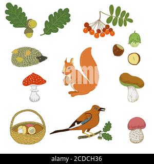 Grande collezione di clip art autunnali Illustrazione Vettoriale