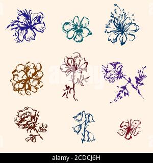 Set di elementi a grunge con fiori dipinti a mano Illustrazione Vettoriale