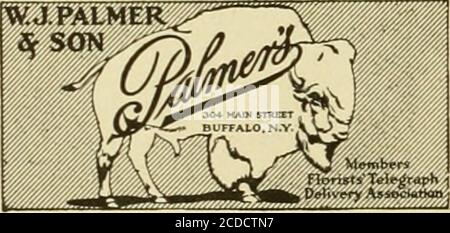 . Lo scambio dei fioristi: Un mezzo settimanale di interscambio per fioristi, nurseristi, seminaristi e il commercio in generale. Il servizio di S. A. ANDERSON 440 MAIN ST., BUFFALO, N. Anderson significa scorte fresche e robuste e deUverles tempestivi a BUFFALO. NIAGAR. FALLS, LOCKPORT E VESTERN NEW YORK. CINCINNATI, OHIO E. G. Hill Floral Co. 532-34 RACE STREET anche Motor Delivery a Newpon, Covington e Dayton, Ky. LA SOCIETÀ J. M. GASSEREUCLID AVENUE CLEVELAND, OHIO 5523 EUCLID AVENUE KNOBLE BROS. 1836 W. 2Sth StreetCLEVELAND, OHIO CLEVELAND, OHIO 735 Euclid Avenue Foto Stock
