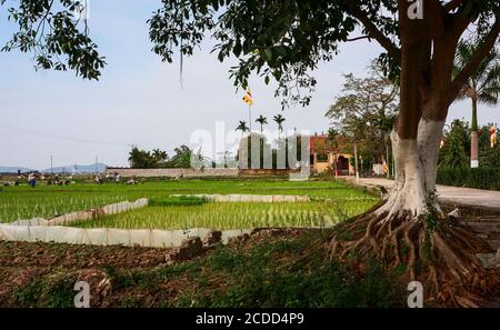 MAO Dien Tempio della Letteratura, Provincia di Hai Duong, Vietnam Foto Stock