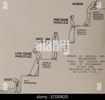 . Defectives mentali in Virginia:. Dle-Grade; un adulto con mentalità di un bambino normale di un anno; si nutre di sé qualsiasi cosa.High-Grade-, adulto con mentalità di un bambino normale di due anni; mangia discriminatamente. Imbecile., .ho w-tUrade; un adulto con mentalità di bambino normale di tre o quattro anni; gioca un po '; cerca di aiutare.Medio-grado; un adulto con mentalità di bambino normale di cinque anni; può eseguire solo i compiti più semplici.Higli-grado; un adulto con mentalità di bambino normale di sei o sette anni; può fare i piccoli errands della casa tali piatti di aswashing e spolvero. 10 state Board of Charities Foto Stock