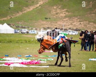 Un uomo Khampa sta cercando di raccogliere panni a terra mentre cavalca il suo cavallo, una parte delle corse nel festival dei cavalli vicino a Litang City. Foto Stock