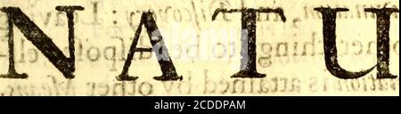 . Sylva sylvarum: O, una storia naturale. In dieci secoli; a cui si aggiunge di recente la Storia naturall e sperimentazioni della vita e della morte, o, del prolungamento della vita . aft o ft. R TUTTA LA STORIA. Ft m v 10 -•) 7 1UG J13 i X-Century. MID 31 oi^cibimoi : Foto Stock