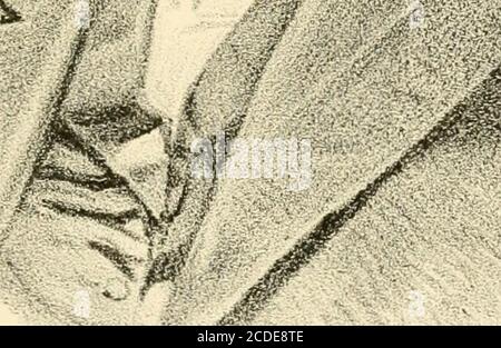 . Storia di Nottingham, Deerfield, e Northwood, compresa entro i limiti originali di Nottingham, Rockingham County, N.H., con le registrazioni dei procedimenti centenari a Northwood, e schizzi genealogici .. . ^>>. Foto Stock