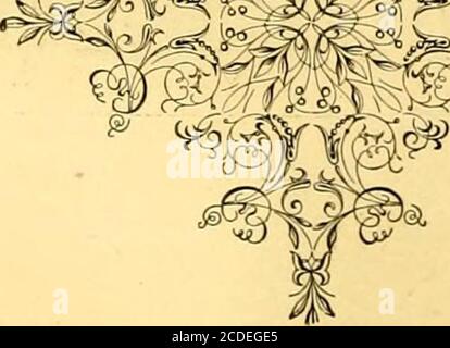 . Album ritratto e biografico della Contea di Isabella, Mich . Foto Stock