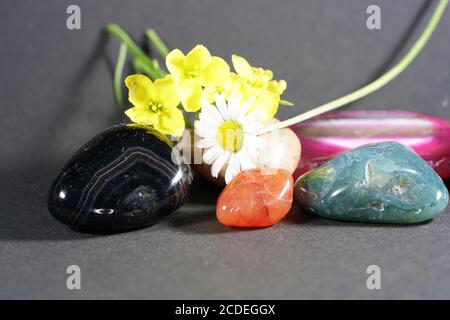 Primo piano delle bellissime e colorate rocce con fiori Foto Stock