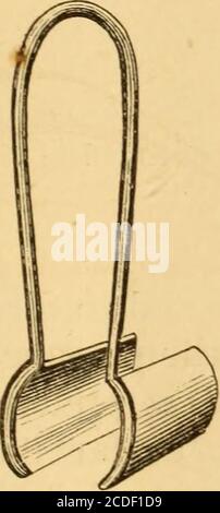 . Malattie della gola e dei passaggi nasali; una guida alla diagnosi e al trattamento delle affezioni della faringe, del sofago, della trachea, della laringe e delle narici . Foto Stock