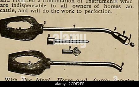 . Allevatore e sportivo . Ting Assn regole - 30cI regole del cavallo di sangue - 30c per la vendita al Odice del allevatore e Sportsman, 313 Bush Str?et, S. F., Cal. -y ETKKIX A K V 8DBII El i.N 10 Consiglio di Amministrazione di HwUth City* ;llli | Fmnclsco. Improvwl solo tavolo PEICEOPKKATIKG in città. Turco, Bo»Blan e Uedlcated Steam lii.n.- pelliccia liors^.. Freeadvice e la medicina per [lui pour. Telefono 2287. DR. C. MASOERO, chirurgo veterinario. QmdDate .r Boyal Veteruuuuuy College, Torino.INFERMERIA E RESIDENCE Xo. SLL HOWARD ST.. S. F. tra quarto e quinto. Telefono «7 H E. CARPENTIERE, veterinario chirurgo, laureato di o Foto Stock