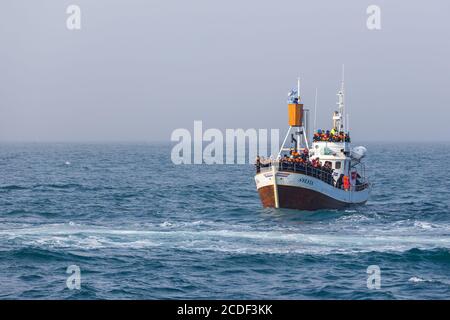 Husavik, Islanda - 25 agosto 2015: Barche con turisti nel Mare della Groenlandia durante l'avvistamento delle balene. Foto Stock