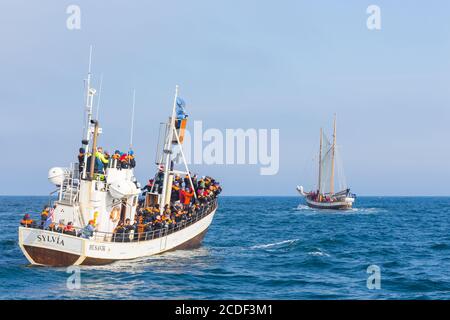 Husavik, Islanda - 25 agosto 2015: Barche con turisti nel Mare della Groenlandia durante l'avvistamento delle balene. Foto Stock