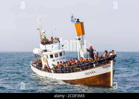 Husavik, Islanda - 25 agosto 2015: Barche con turisti nel Mare della Groenlandia durante l'avvistamento delle balene. Foto Stock