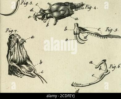 . Traité sur le vénin de la vipere, sur les poisons americains, sur le laurier-cerise et sur quelques autres poisons vegetaux. On y a joint des Observations sur la struttura primitive du corps animale. Diférentes exériences sur la reproduction des nerfs et la description d'un nouveau Canal de l'oeil . Foto Stock