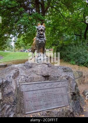 La statua in bronzo del cane da slitta BALto di Frederick Roth, Central Park, Manhattan, New York City, New York, USA Foto Stock