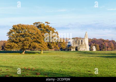 Resti di Newark Priory, Pyrford, Surrey, Regno Unito in inverno, rovine medievali di un priorato agostiniano dalla dissoluzione dei monasteri da Enrico VIII Foto Stock