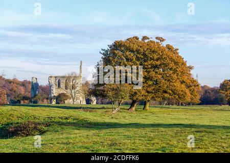 Resti di Newark Priory, Pyrford, Surrey, Regno Unito in inverno, rovine medievali di un priorato agostiniano dalla dissoluzione dei monasteri da Enrico VIII Foto Stock