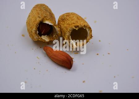 Arachidi naturali nella loro buccia, che si apre in vari modi. Le conchiglie aperte con noci di arachide si trovano su uno sfondo bianco. Foto Stock