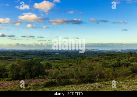 Dawn sopra Ashdown Forest da Stone Hill in East Sussex Inghilterra sud-orientale con i Downs Sud all'orizzonte Foto Stock