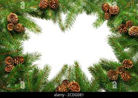 Rami con coni di pino contro bianco Foto Stock