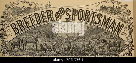 . Allevatore e sportivo . IL BERSAGLIO DI ROCCIA BLU. ((notazioni i urnlslided F. o. B. a Cleveland, Ohio, o San Francisco. CLABROUGH, GOLCHER & CO., 630 e 632 Montgomery Street, S. P., Cal. GLI AGENTI UNICI si affacciano sulla costa del Pacifico. -svJr^^ T77ENTX T*^.G- e:s.. Vol XVI. N. 51No. 813 BOCCOLA Str-EJIT. SAN FRANCISCO. SABATO, FEBBRAIO. 1, 1890. Dove si trova l'i/iserraoe? Editok Breeder e Sportsman: – Clip il seguito da un contributo di MR. Jos. Cairn Simpson. Le lettere ricevute. * * * criticare il programma adottato, in particolare per quanto riguarda la limitazione dei concorsi ad una presunta classe inferiore di cavalli, Foto Stock