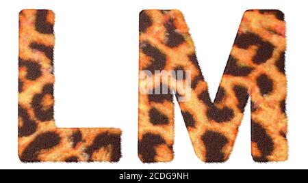 Leopard fur L e M lettere isolate Foto Stock