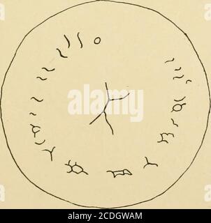 . Giornale di morfologia . ^ J^ Fig. 21. Fig. 20. Fig. 20.-Vista superficiale dell'uovo di piccione come appariva a 3.00 m., circa sette ore dopo la fecondazione. Fig. 21.-Vista superficiale dell'uovo di piccione ottenuto a 3.30 m., sette ore e mezza dopo il tempo stimato di fecondazione. Fig. 22.-uovo di piccione preso a 2.00 m., sei ore dopo il tempo stimato di fecondazione. Lo stesso uovo è riportato nel grafico II A. 40 Mary Bloniit. Foto Stock