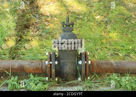 vecchio tubo arrugginito con valvola di chiusura su erba verde Foto Stock