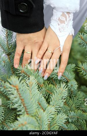 tema di nozze, tenendo le mani Foto Stock