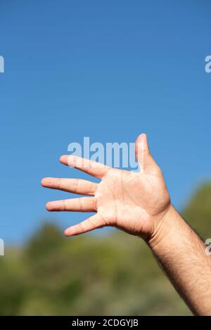 Palmo della mano dell'uomo Foto Stock