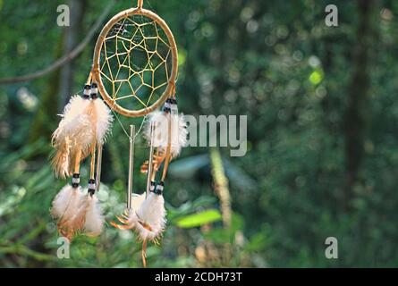 Un catcher da sogno dei nativi americani con piume soffia nel brezza di fronte a alberi verdi e piante Foto Stock