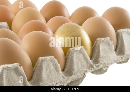 Un dorato e molte uova fresche ordinarie rurali imballate in contenitore di cartone isolato su sfondo bianco Foto Stock