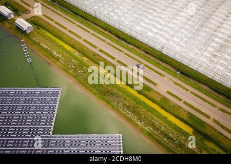 Pannelli solari flottanti, Bemmel, Paesi Bassi Foto Stock