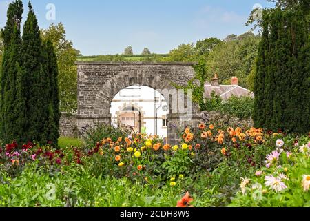 Carmarthen, Galles - Agosto 2020: Fiori e porta ad arco nei giardini paesaggistici del Giardino Botanico Nazionale del Galles Foto Stock