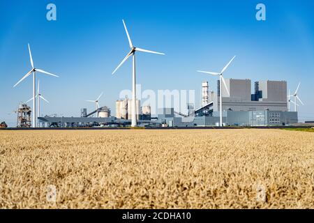 Eemshaven, Groningen / Paesi Bassi - 4 agosto 2020: Vecchia en nuova energia in de Eemshaven Paesi Bassi Foto Stock