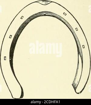 . Un testo-libro di ferro di cavallo, per i ferro di cavallo e veterinari . Pattino posteriore sinistro con diramazione interferente (superficie del terreno), per la posizione base-supporto stretto. Fig. 156. La stessa (superficie di zoccolo). Fig. 157. Foto Stock