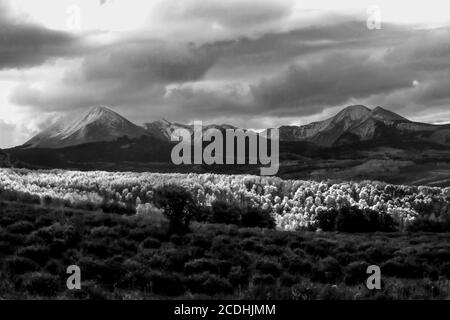 Nubi tempeste che si radunano intorno alle cime innevate delle montagne la SAL dello Utah, USA, con Aspen illuminato dall'ultima luce solare in primo piano ph Foto Stock