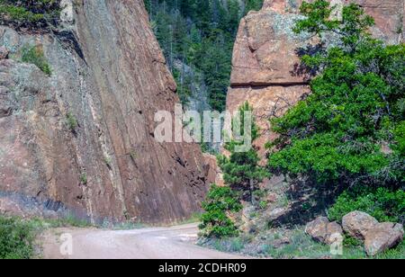 La strada sterrata sembra stretta come si curva tra le grandi colline rocciose nelle montagne del Colorado. Una bella scena con alberi verdi in primavera Foto Stock