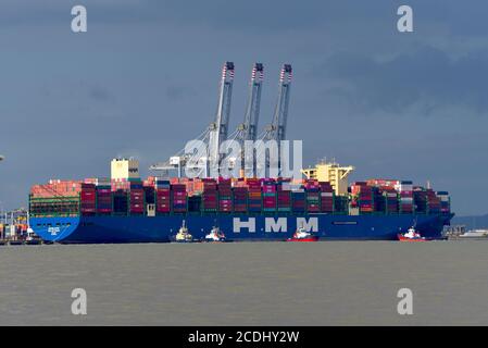 24/08/2020 DP World London Gateway Essex River Thames UK The Container Ship HMM Rotterdam sta facendo la sua prima chiamata al porto A DP World London Gateway p Foto Stock