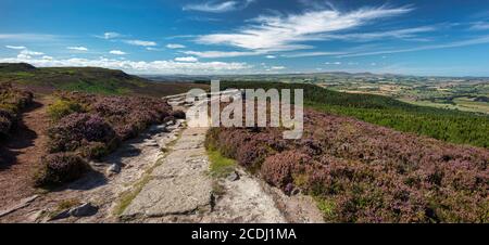 Vista estiva sulle Simonside Hills vicino a Rothbury nel Northumberland National Park, Northumberland, Inghilterra, Regno Unito Foto Stock