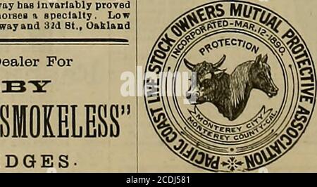 . Allevatore e sportivo . Fire Arras, Fishine Tnokle Sport-ing Uo.uls, Lawn TenDis, ecc. chiedete AL vostro rivenditore di CARTUCCE. CARICATO CON NUOVE E. C AMERICANE, SCHULTZE O POLVERI DI LEGNO UUIC.K E PREZZO FORTE RAGIONEVOLE.. GUARDA! LEGGI! AGIRE! Yon non può perdere il valore di un animale. Assicurazione Live Stock a basso tasso. - - UN grande successo. Tutti i tipi di 8tock assicurati contro D ath da INCIDENTE o DI8BASK. TRUSTEES : HON. B. V. SARGENT. Presidente, 0HA8, FREW. Segretario, del. M. GRAGG, Business Manager, KDW. INGRAM, Vicepresidente, WALTER LITTLE, ActuaryR. H. WILLEY, avvocato. (JVNIlIAI. CIAO MMSS OIIHI, MONTEREY, Foto Stock