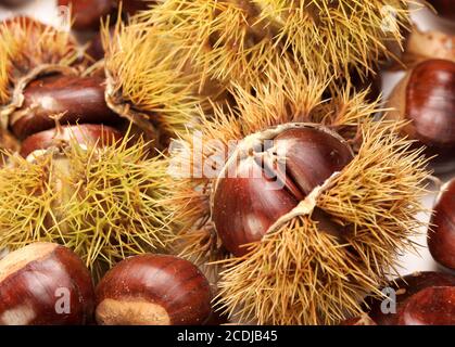 castagne, natura sfondo Foto Stock