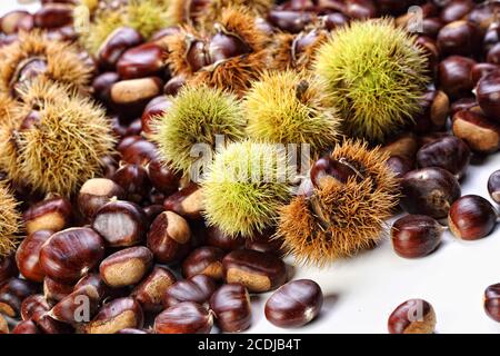 Sfondo di castagno Foto Stock