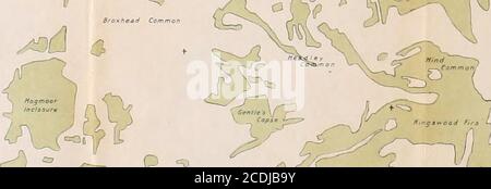 . Gli altipiani del Surrey sud-occidentale; uno studio geografico in sabbia e argilla . DA Matthews, Emily Catherine 670 gli altopiani della S96M3 sudoccidentale Surrey SI PREGA DI NON REMOVECARDS O SCIVOLI DA QUESTA POCKET UNIVERSITY OF TORONTO BIBLIOTECA N°V. DISTRIBUZIONE DI LEGNO COMUNE e MARSH. v , - 5j ^ ; ^=C -Vs J U7 &= ^cSfl ^c: -&lt;^ 4W 7, - =IV. Foto Stock