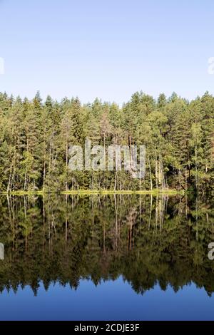 Lago del Diavolo vicino a Aglona, Lettonia. Il lago, noto come Velnezers in lettone, è considerato non avere vita. Foto Stock