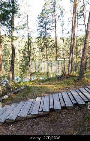 Passi in una passerella vicino al lago del Diavolo vicino a Aglona, Lettonia. Il lago, noto come Velnezers in lettone, è considerato non avere vita. Foto Stock