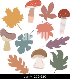 Set di foglie d'autunno colorate, funghi. Grafica vettoriale su sfondo bianco per la progettazione di schede, stampe su cuscini, confezioni, copertine, involucri Illustrazione Vettoriale